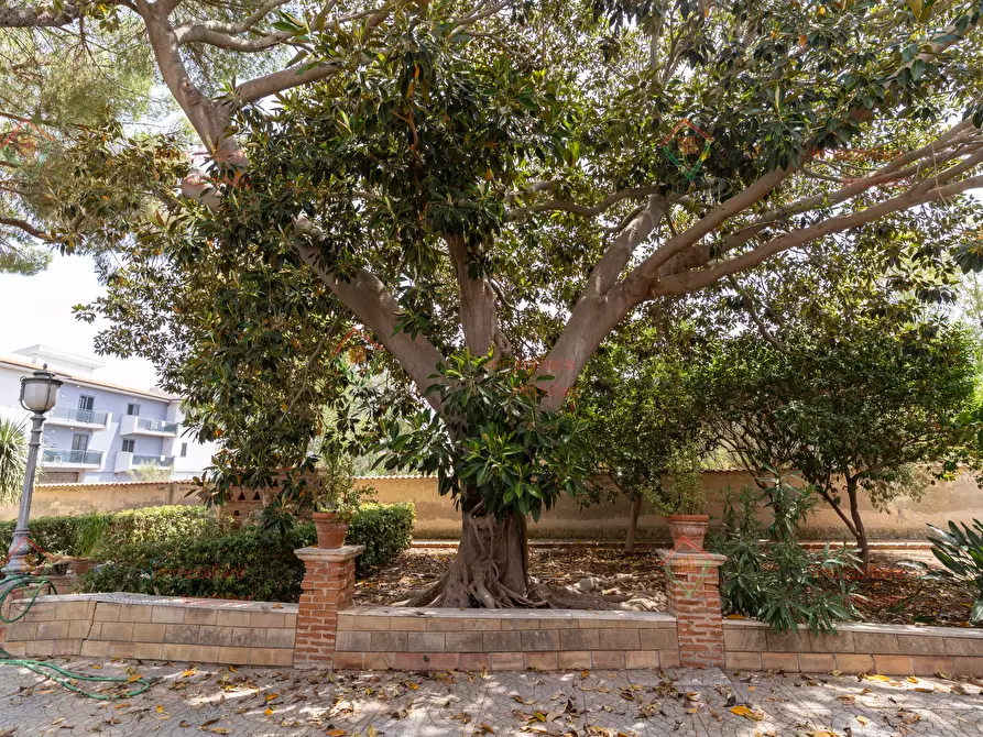 Immagine 39 di Villa in vendita  a Siracusa
