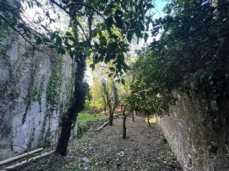 Immagine 57 di Villa in vendita  a Canicattini Bagni