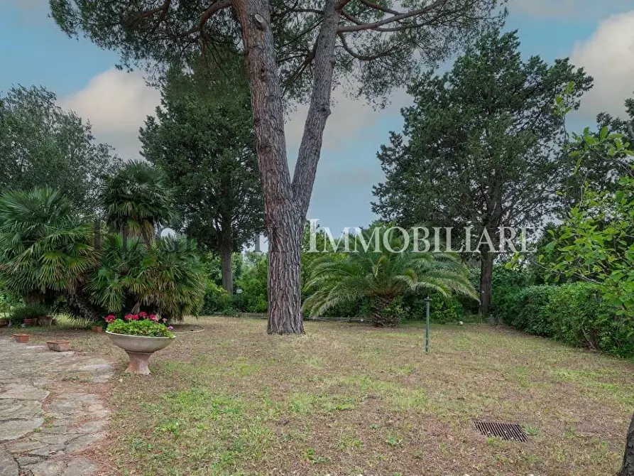 Immagine 22 di Villa in vendita  a Livorno