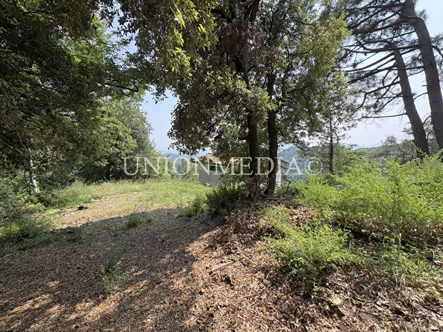 Immagine 13 di Rustico / casale in vendita  in via carignano a Fosdinovo