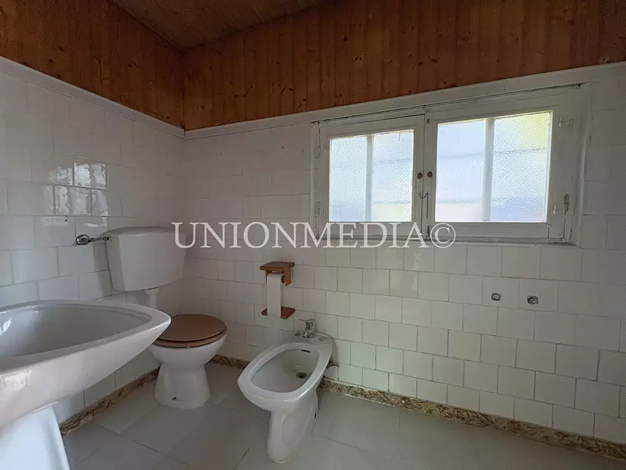 Immagine 31 di Casa semindipendente in vendita  in Viale Vittorio Alfieri 26 a Sarzana