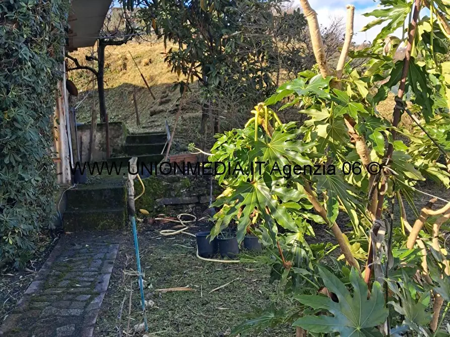 Immagine 20 di Casa semindipendente in vendita  a Arcola