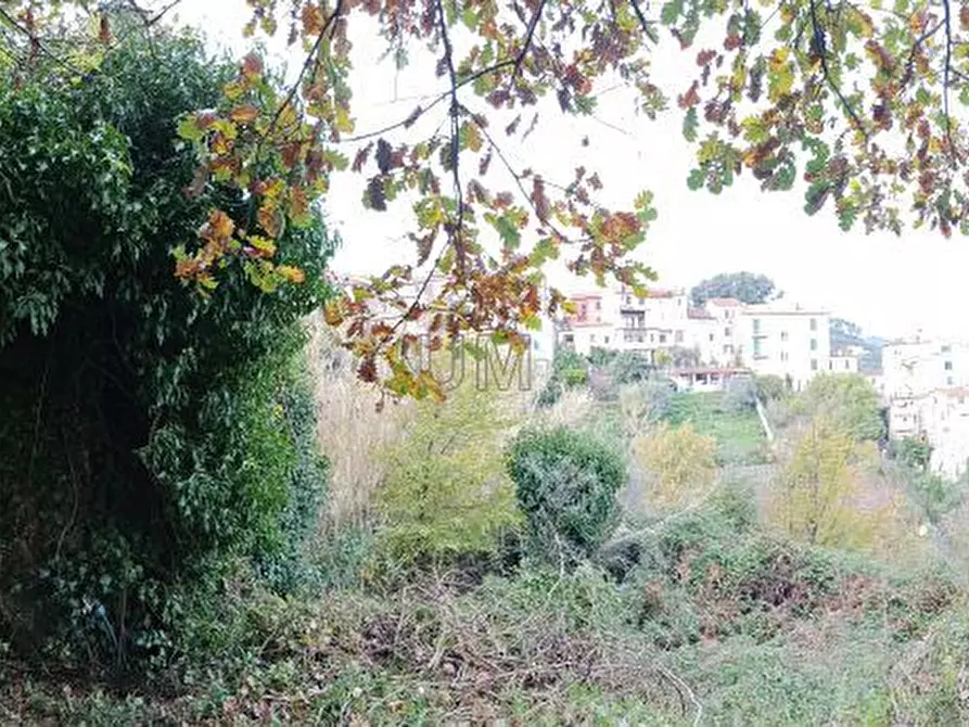 Immagine 14 di Casa indipendente in vendita  a Arcola