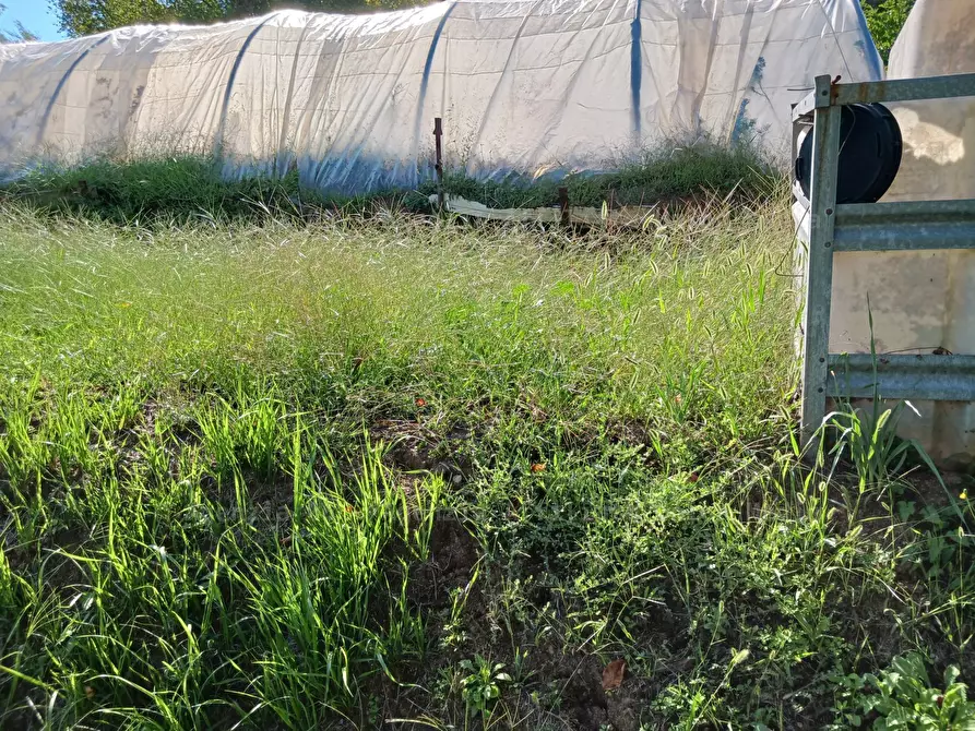 Immagine 10 di Rustico / casale in vendita  a Arcola