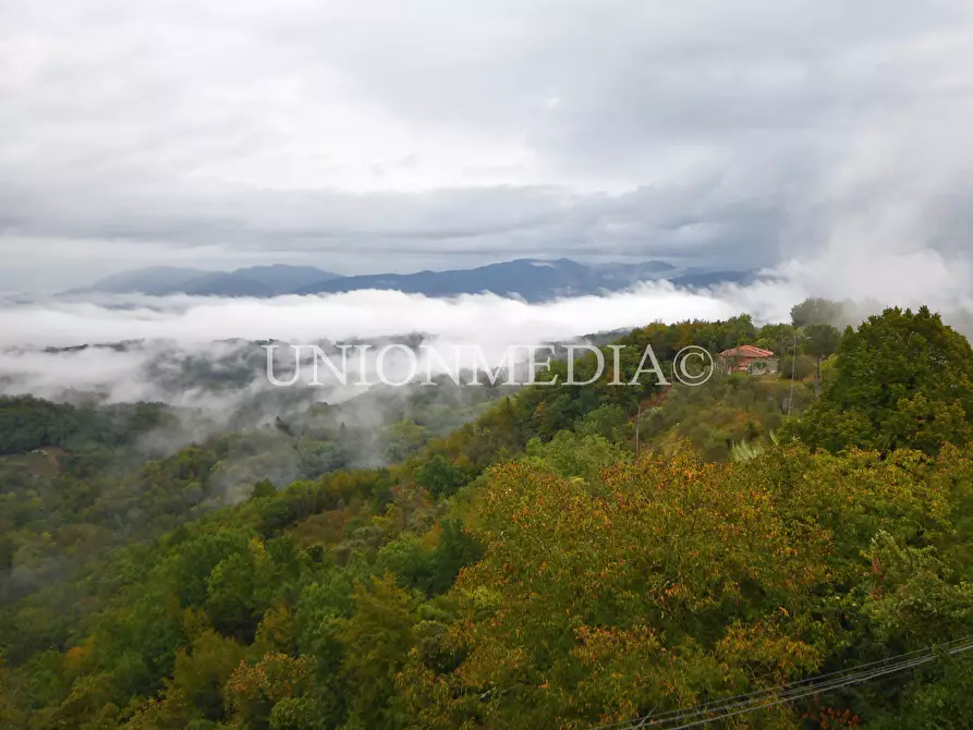 Immagine 22 di Appartamento in vendita  in tendola a Fosdinovo