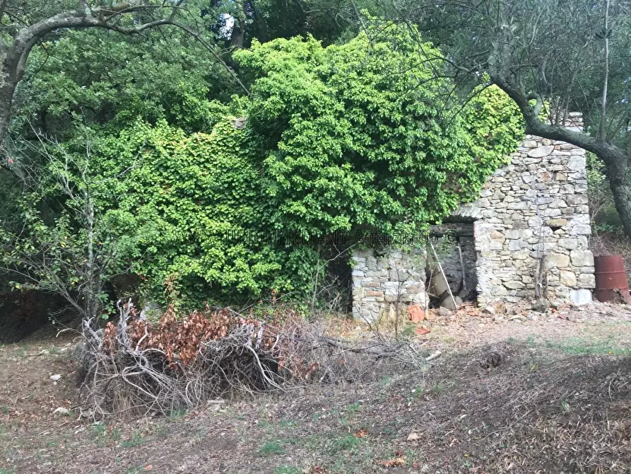 Immagine 11 di Casa indipendente in vendita  a Vezzano Ligure