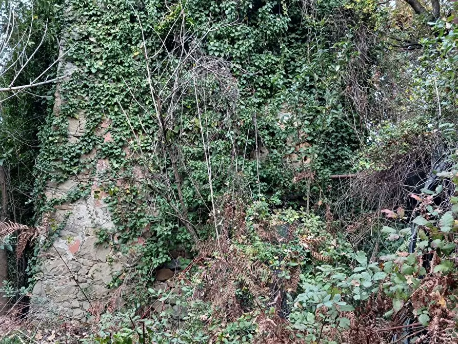 Immagine 6 di Casa indipendente in vendita  a Arcola