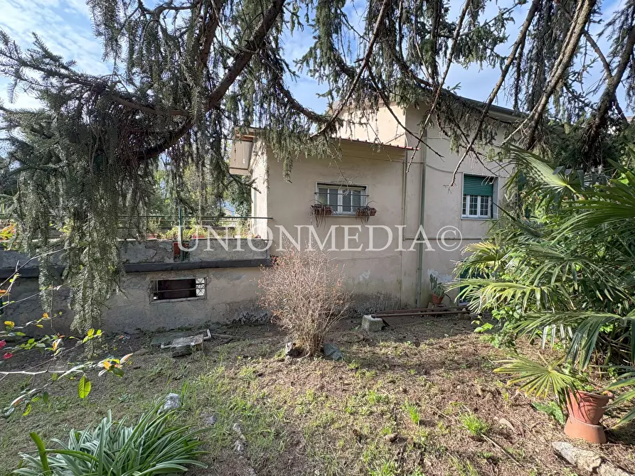 Immagine 8 di Casa semindipendente in vendita  in Viale Vittorio Alfieri 26 a Sarzana