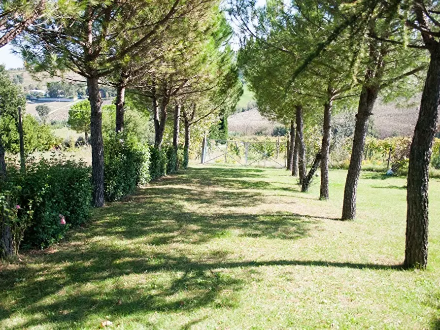 Immagine 7 di Rustico / casale in vendita  a Rimini