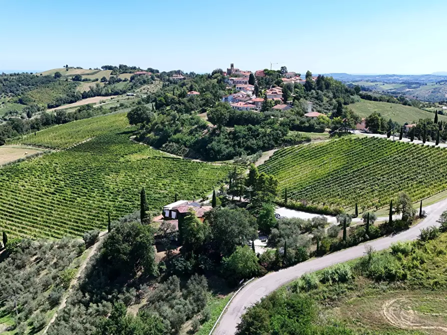 Immagine 11 di Casa indipendente in vendita  in Via Roma 14A a Borghi