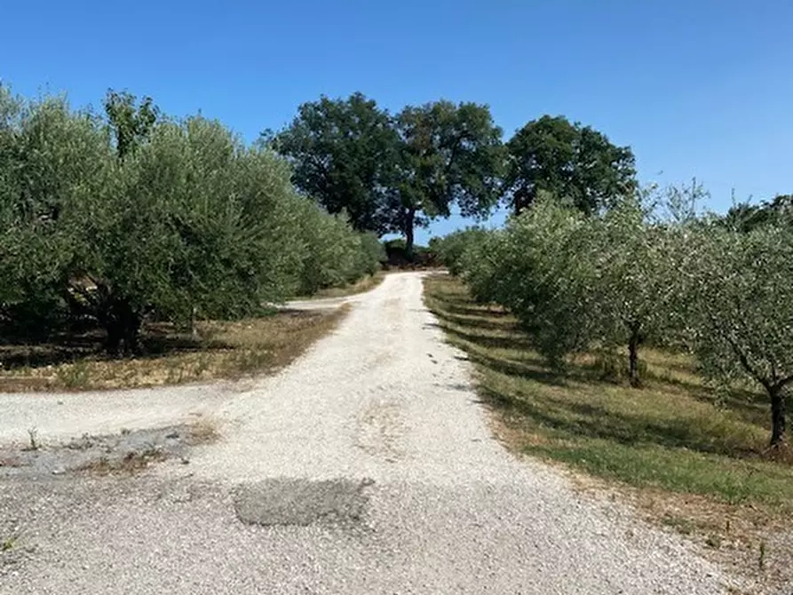 Immagine 47 di Rustico / casale in vendita  in Via Sant'Andrea in Villis a Fano