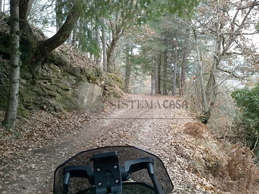 Immagine 23 di Casa semindipendente in vendita  in Via Debeduse 10 a Calice Al Cornoviglio