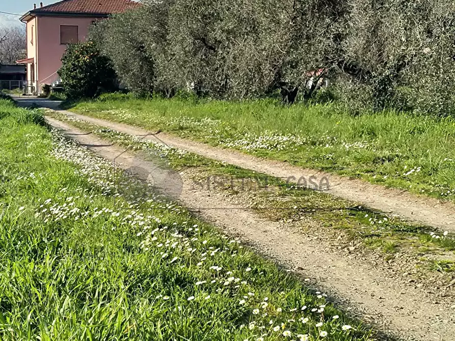 Immagine 7 di Casa indipendente in vendita  a Sarzana