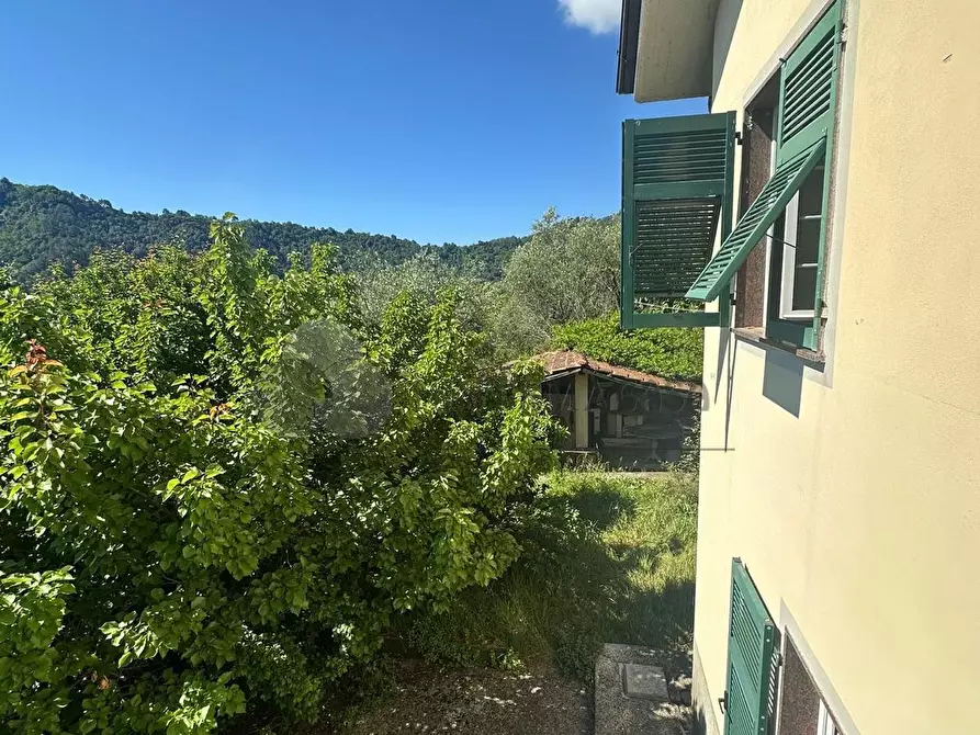 Immagine 32 di Casa indipendente in vendita  in Via San Lorenzo 20 a Follo