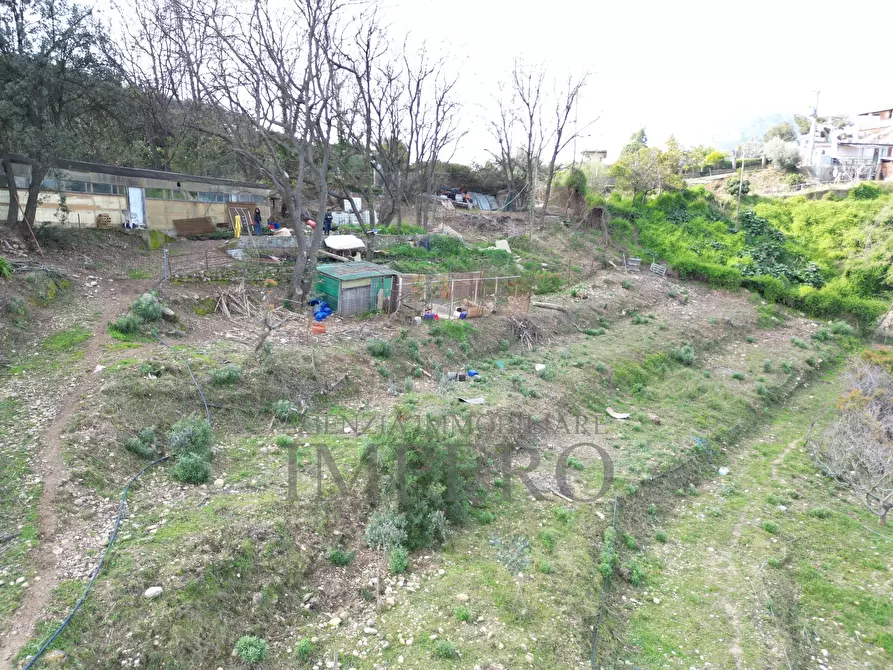 Immagine 8 di Terreno agricolo in vendita  in Regione Magauda 36 a Camporosso