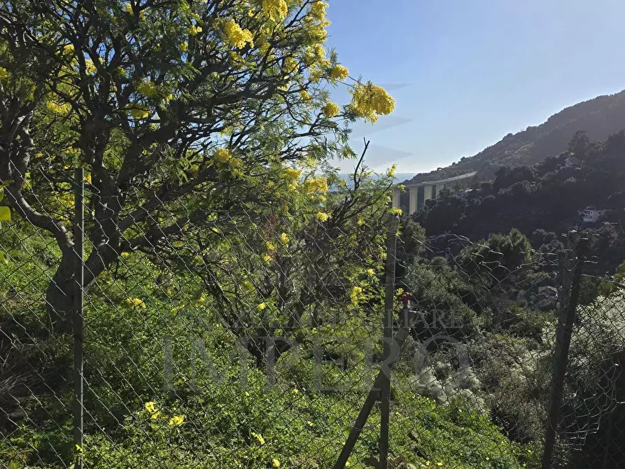 Immagine 22 di Villa in vendita  in frazione carletti snc a Ventimiglia