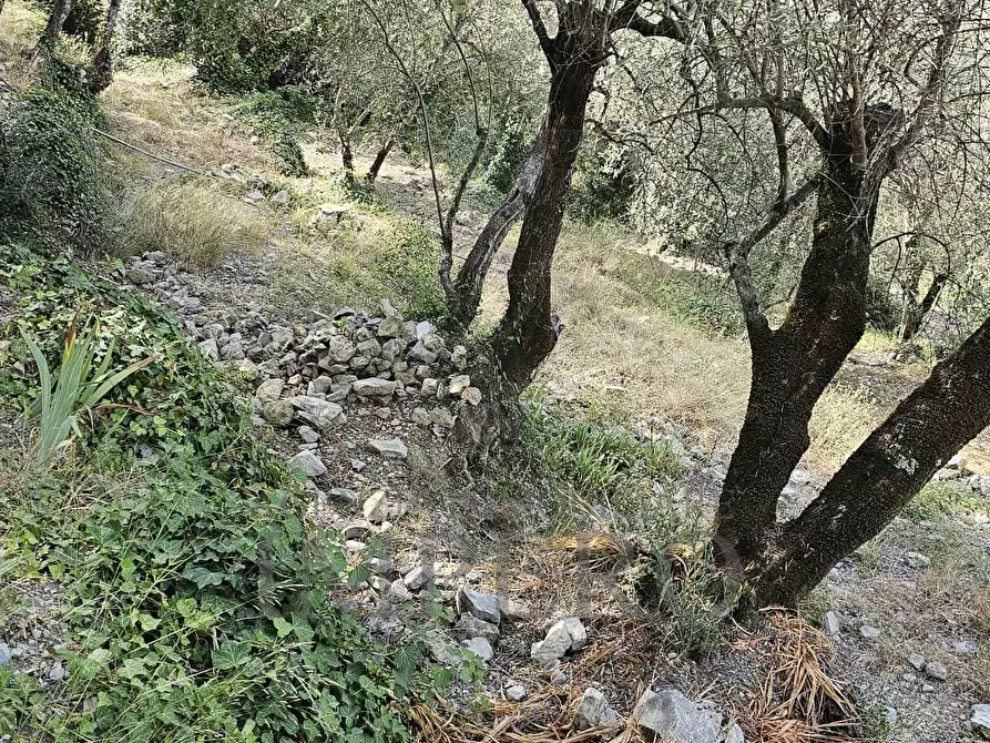 Immagine 4 di Rustico / casale in vendita  in Località Para a Airole