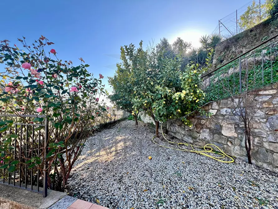 Immagine 45 di Villa in vendita  in Corso della Repubblica a Camporosso