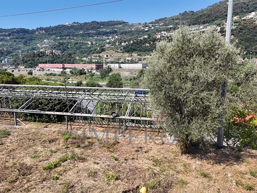 Immagine 19 di Terreno agricolo in vendita  in Corso Limone Piemonte a Ventimiglia
