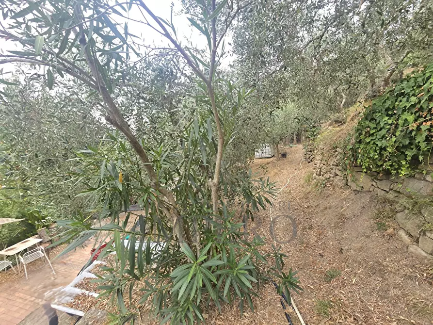 Immagine 7 di Rustico / casale in vendita  in San Gregorio a Dolceacqua