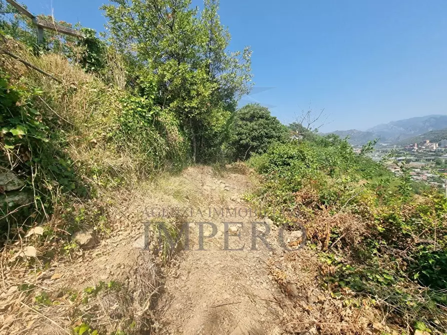 Immagine 10 di Terreno agricolo in vendita  in Via Daffra 20 a Ventimiglia