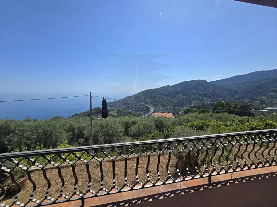 Immagine 33 di Villa in vendita  in Via Nappio 1 a Ventimiglia