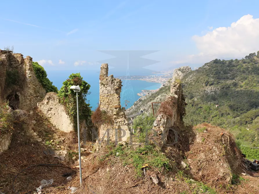 Immagine 23 di Terreno agricolo in vendita  in Via Case Gina 13 a Ventimiglia