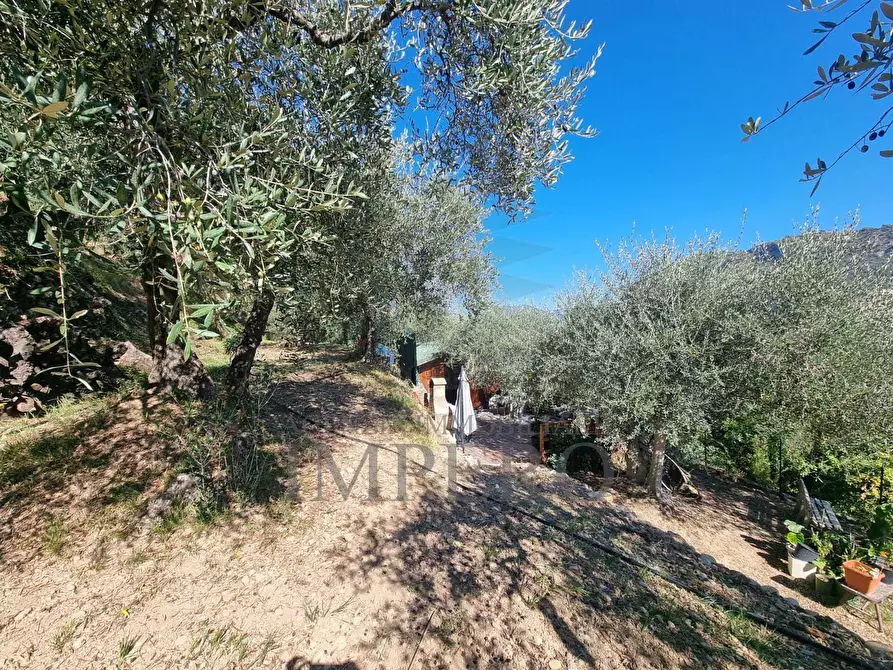 Immagine 48 di Terreno agricolo in vendita  in Via Monsignore Daffra 40 a Ventimiglia