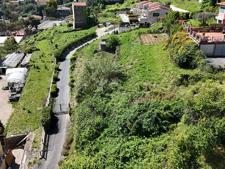 Immagine 14 di Terreno edificabile in vendita  in Via L. Alborno 1 a Ventimiglia