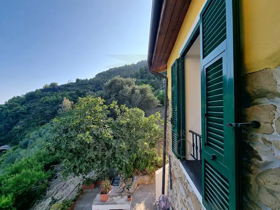 Immagine 43 di Villa in vendita  in Corso Francia 108 a Ventimiglia