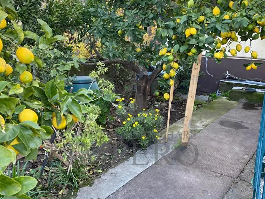 Immagine 14 di Porzione di casa in vendita  in Via Giacomo Puccini 71 a Camporosso