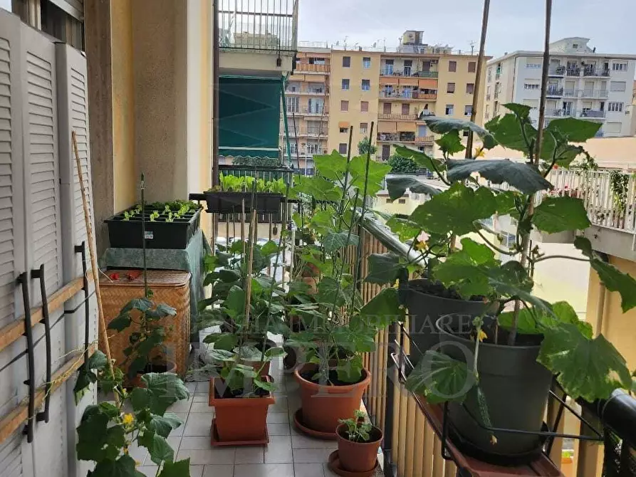 Immagine 21 di Trilocale in vendita  in Passeggiata Cavallotti 3 a Ventimiglia