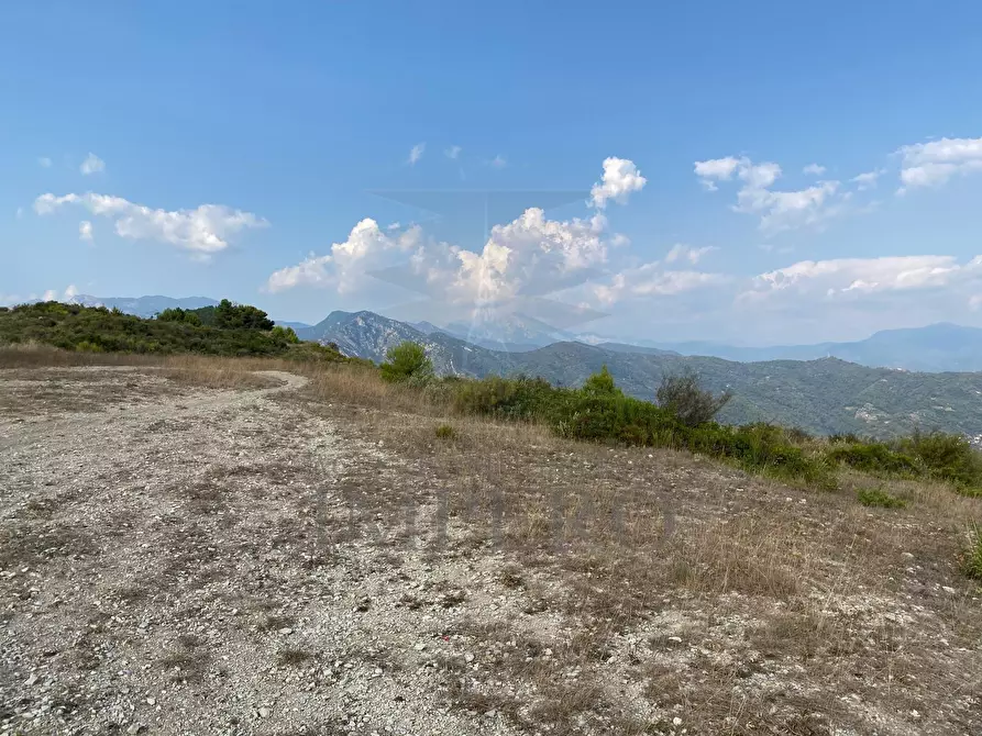 Immagine 8 di Terreno agricolo in vendita  in Via alla Stazione 40 a Ventimiglia