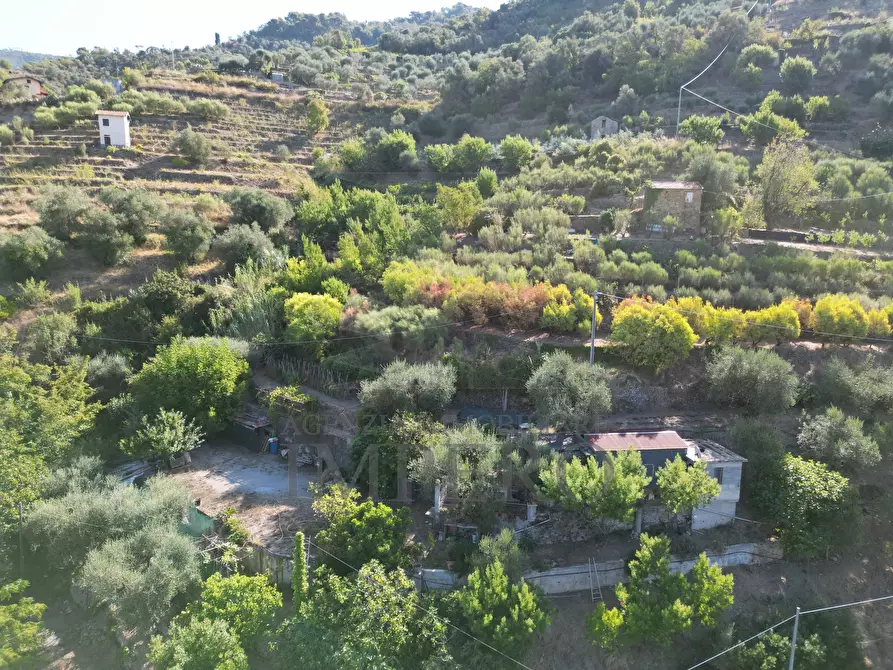 Immagine 1 di Terreno agricolo in vendita  in via provinciale 44 a San Biagio Della Cima