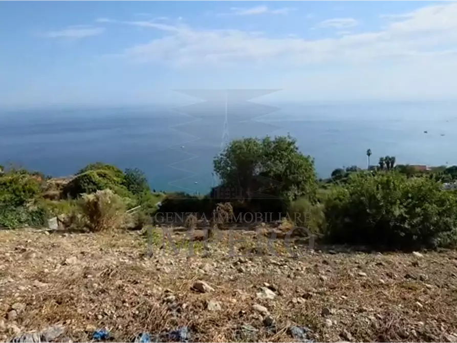 Immagine 3 di Terreno agricolo in vendita  in Località Ville Superiori 30 a Ventimiglia