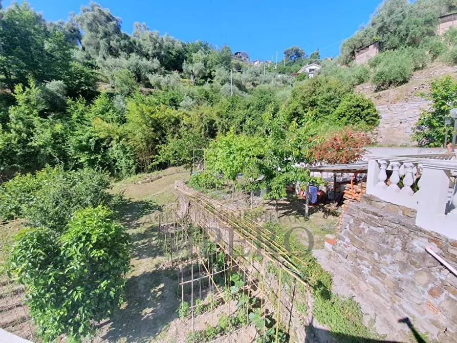 Immagine 13 di Casa bifamiliare in vendita  in Via Roma 48 a Camporosso