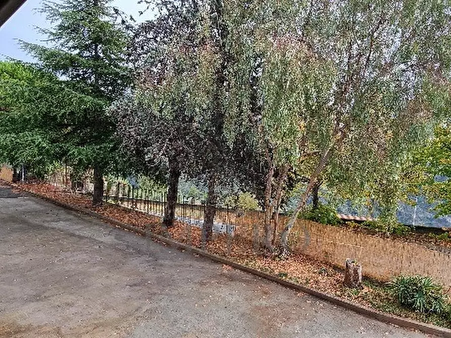 Immagine 13 di Villa in vendita  in Strada Provinciale a Dolceacqua