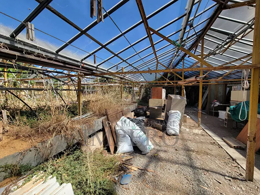 Immagine 13 di Magazzino in vendita  in Strada Statale 1 35 a Camporosso