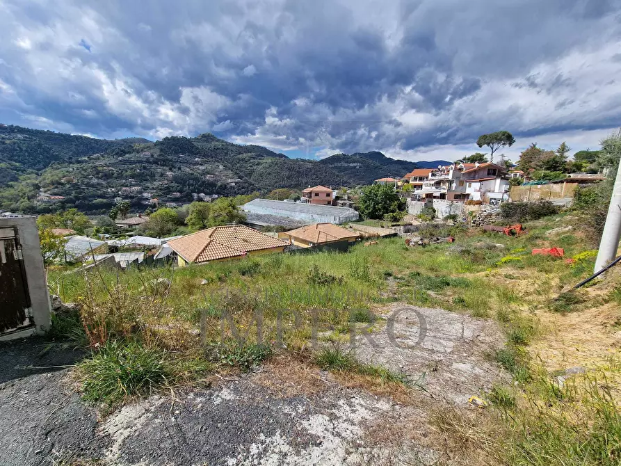 Immagine 4 di Terreno agricolo in vendita  in Via Turistica 172 a Camporosso