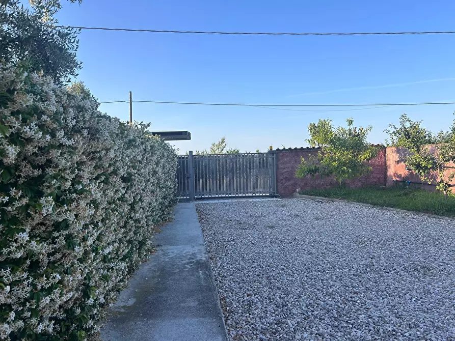 Immagine 16 di Villetta a schiera in affitto  in Viale Maiella 23/A a Francavilla Al Mare