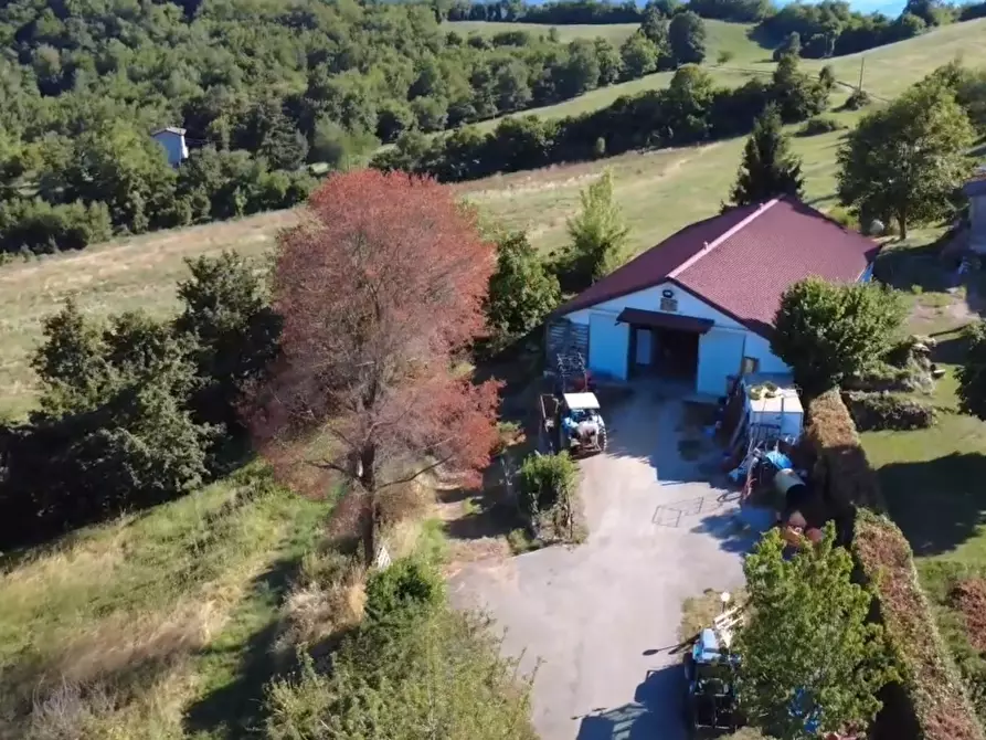 Immagine 49 di Rustico / casale in vendita  in Via Cattani 502 a Guiglia