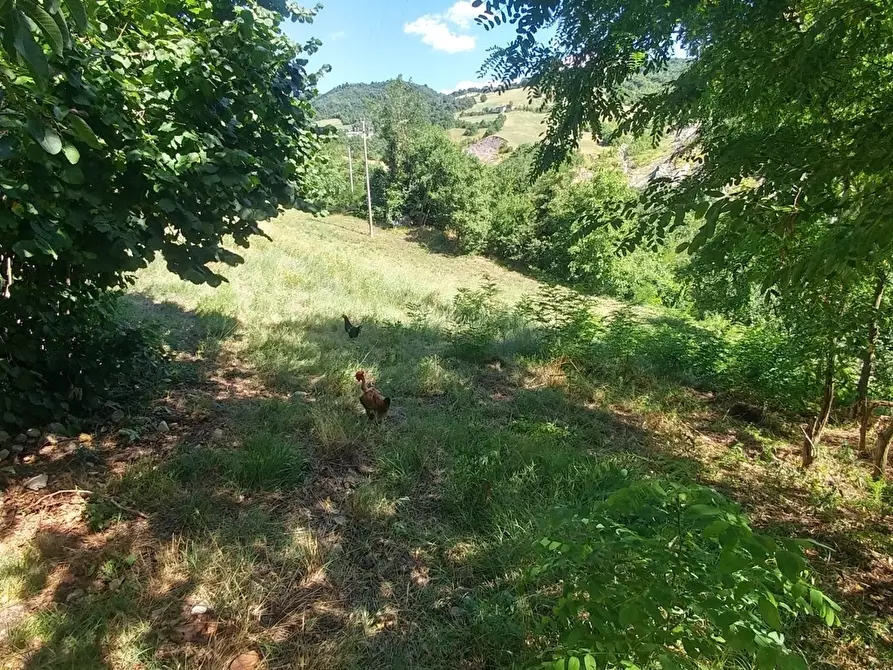 Immagine 55 di Rustico / casale in vendita  in mauro tesi 112 a Zocca