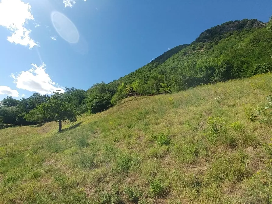 Immagine 13 di Rustico / casale in vendita  in mauro tesi 112 a Zocca