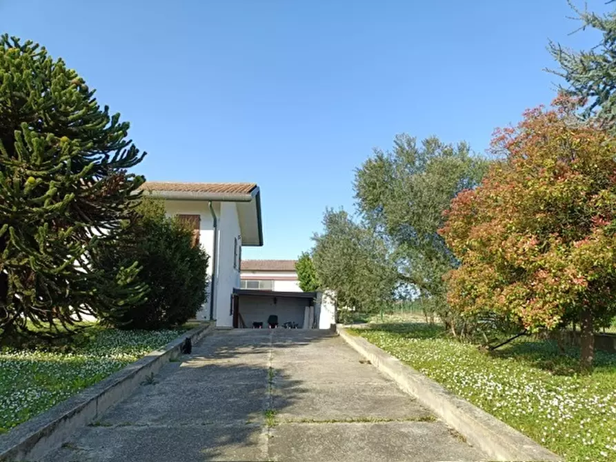 Immagine 6 di Casa indipendente in vendita  a Villanova Marchesana