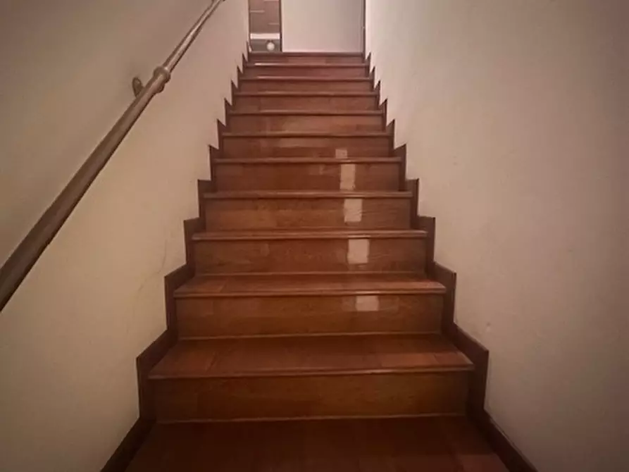 Immagine 23 di Villa in vendita  a Trecenta