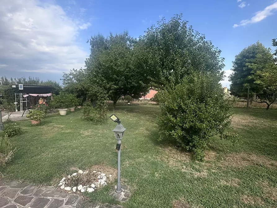 Immagine 6 di Villa in vendita  a Rovigo