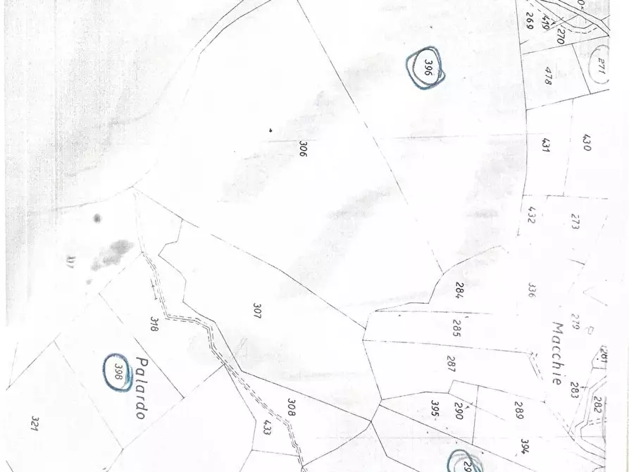 Immagine 5 di Terreno agricolo in vendita  in Località Antico Alto 48 a Maiolo