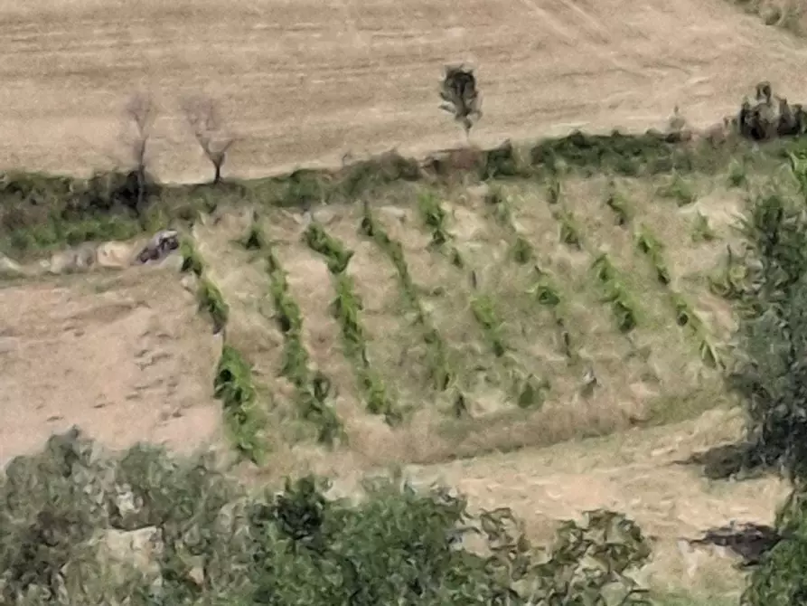 Immagine 1 di Rustico / casale in vendita  in Via Giacomo Leopardi 41 a San Leo