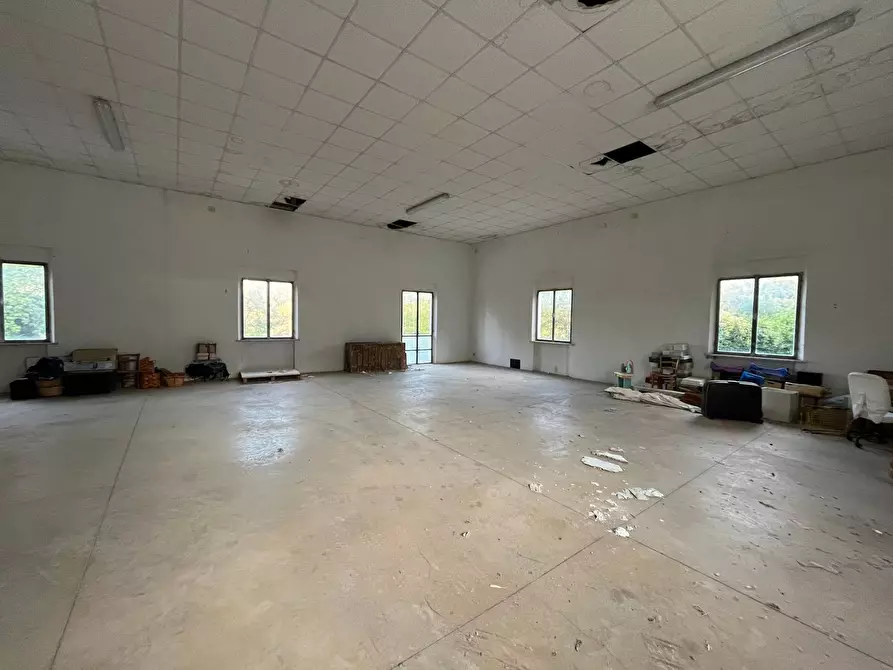 Immagine 8 di Attività artigianale in affitto  in Viale Lungo Fiume 8 a Novafeltria