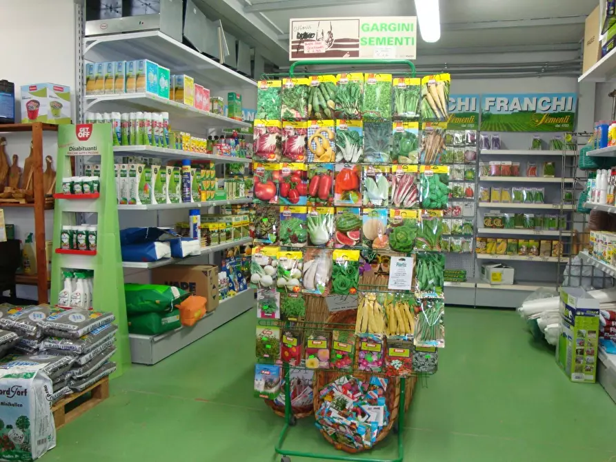 Immagine 1 di Locale commerciale in vendita  in Via Sarzanese Nord a Viareggio